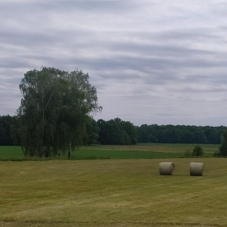 Ubytovani U Sobotku Třeboň Exterior foto